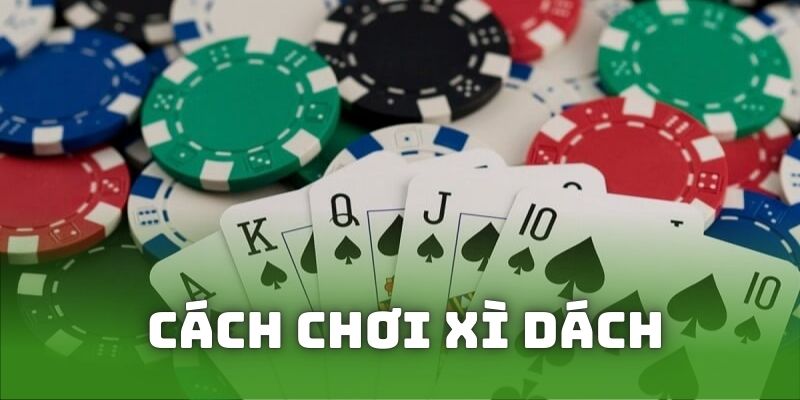 Cách chơi xì dách là gì dành cho người mới bắt đầu